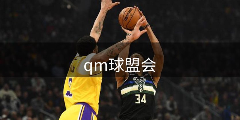 网站概况